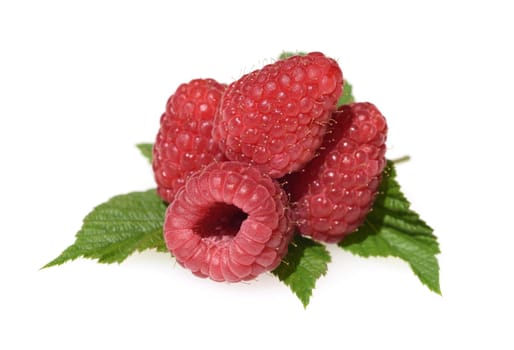 Raspberries,Rubus,idaeus,is a tasty berry plant with red berries. Raspberries,Rubus idaeus,is a tasty berry plant with red berries.