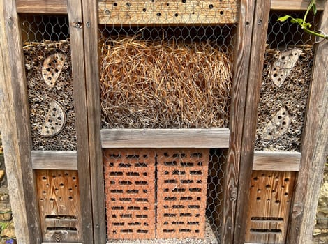 Insect hotels serve insects,especially wild bees,as shelter and breeding grounds. Insect hotels serve insects,especially wild bees,as a shelter and breeding ground.