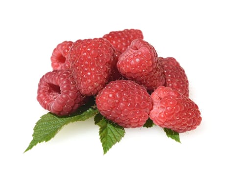Raspberries,Rubus,idaeus,is a tasty berry plant with red berries. Raspberries,Rubus idaeus,is a tasty berry plant with red berries.