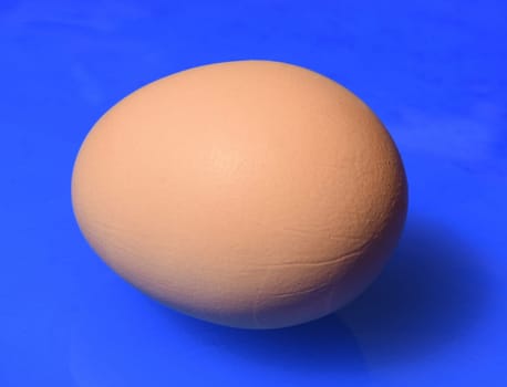 Egg,chicken egg or eggs are an important animal food. Eggs,chicken eggs or eggs are an important animal food