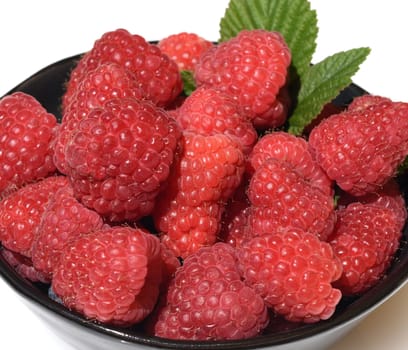 Raspberries,Rubus,idaeus,is a tasty berry plant with red berries. Raspberries,Rubus idaeus,is a tasty berry plant with red berries.