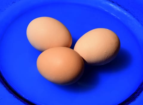 Egg,chicken egg or eggs are an important animal food. Eggs,chicken eggs or eggs are an important animal food