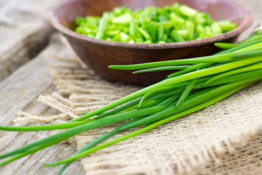 fresh chive - close up