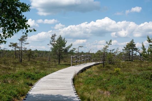 Black moor in the Rhoen, Bavaria, Germany, with a new moor wooden path