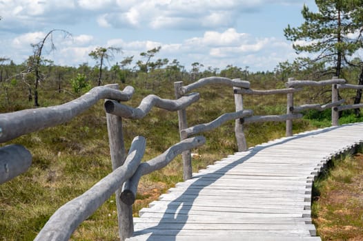 Black moor in the Rhoen, Bavaria, Germany, with a new moor wooden path