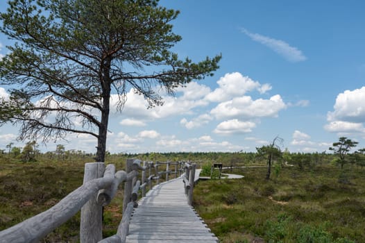 Black moor in the Rhoen, Bavaria, Germany, with a new moor path