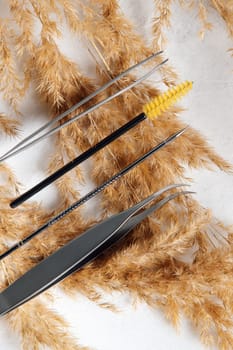View from above of various tools, tweezers and brushes, using for creating stylish look throughout lash extension procedure, lying on branches of beige pampas grass, on white table. Vertical.