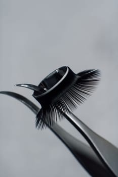 Close up of tweezers with ring of black artificial eyelashes hanging on tip, against gray background. Tool for lash extension that separating cilia and assisting create glamour look. Vertical.