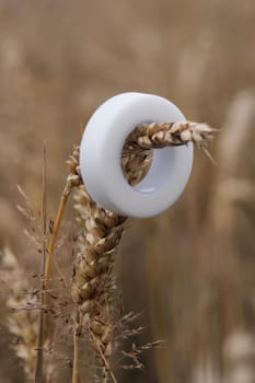 White plastic tape for fixation lashes in process of eyelash extension procedure hanging on branch of wheat outdoors. Material featuring gentle adhesive that holding lower cilia in place. Vertical.