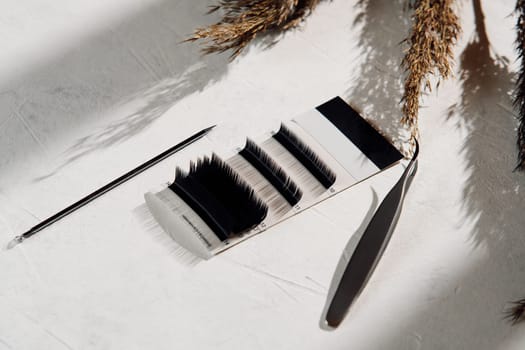Palette full of black artificial eyelashes and various tools for lash extension procedure lying on white table near branches of pampas grass. Isolated tweezers and volume cilia in pallet on desk.