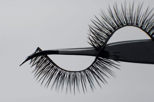 Close up of professional tweezers, using for lash extension procedure, isolated on gray background with pair of black artificial eyelashes, creating shape of wave and passing through tool.