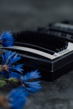 Professional palette of black artificial eyelashes using throughout lash extension procedure, applying on eyelids, lying on gray table near blue cornflowers.