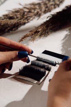 Hands of unrecognizable woman with blue manicure holding tweezers for eyelash extension, separating and taking fake lash from palette of artificial cilia lying on table near pampas grass. Vertical.