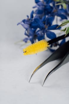 Close up of professional tweezers with sharp tip and yellow disposable brush using throughout lash extension procedure lying on white table near blue and purple cornflowers. Vertical.