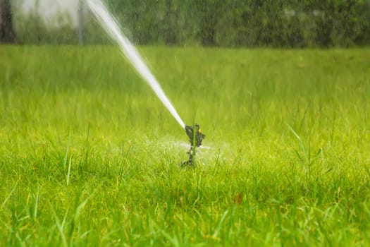 The sprinklers in the park are working.