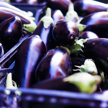 Fresh purple eggplants on a street market counter, Italy