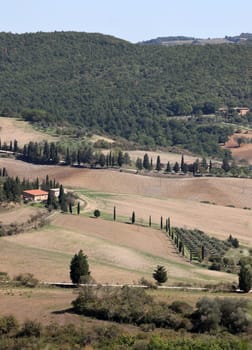 The rural landscape near Pienza in Tuscany. Italy