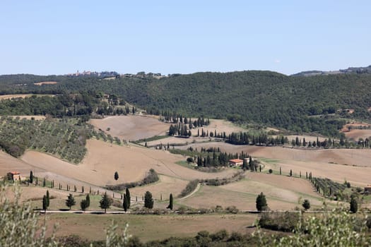 The rural landscape near Pienza in Tuscany. Italy