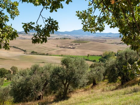 The rural landscape near Pienza in Tuscany. Italy