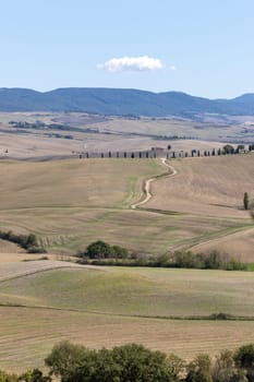 The rural landscape near Pienza in Tuscany. Italy