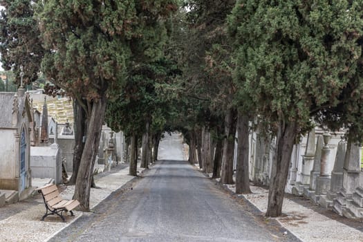 February 22, 2023 Lisbon, Portugal: Alto de Sao Joao Cemetery - the path between crypts and graves and green trees. Mid shot