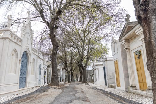 February 22, 2023 Lisbon, Portugal: Alto de Sao Joao Cemetery - trees grow in the cemetery next to the family crypts. Mid shot