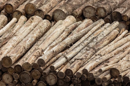 A pile of wooden peeled logs. Mid shot