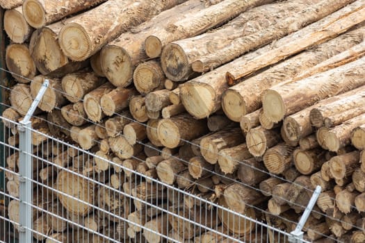 Wooden logs of pine woods stacked in a pile behind a fence. Mid shot