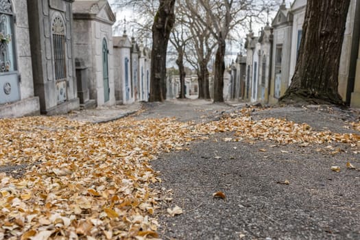 Autumn leaves in the middle of the cemetery. Mid shot