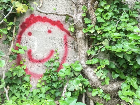 Smile symbol on wall surrounded by vegetation