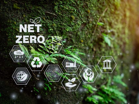 CO2 emission reduction concept, clean and friendly environment without carbon dioxide emissions. Planting trees to reduce CO2 emissions, environmental protection concept.