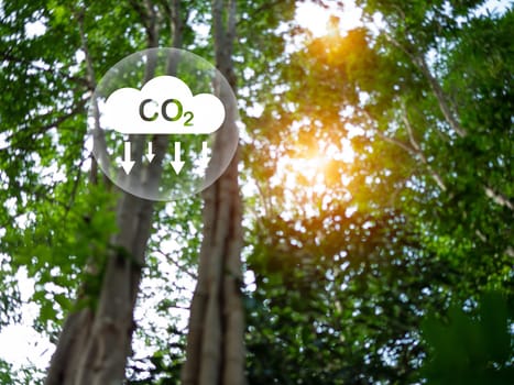 CO2 emission reduction concept, clean and friendly environment without carbon dioxide emissions. Planting trees to reduce CO2 emissions, environmental protection concept.