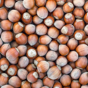 Hazelnuts. Stack of hazelnuts. Food background. Hazelnut background.