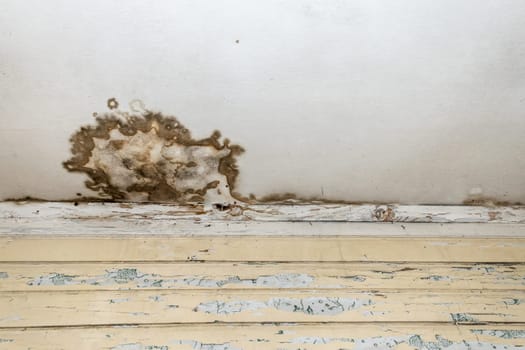 Mold and mildew spots on the ceiling or wall due to poor air ventilation and high humidity. Harm to health.