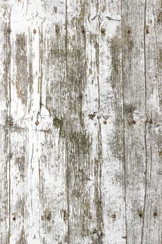 Wooden planks with rusty nails and rough details.