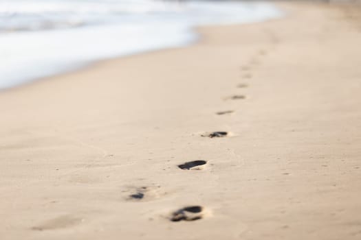 footprints on the wet sand. Mid shot