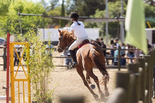 A girl riding a horse on the outdoor arena. Mid shot