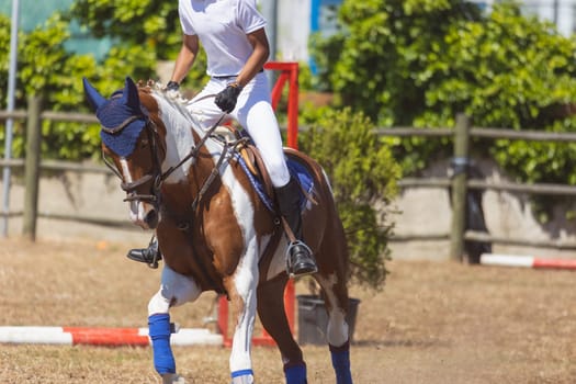 Equestrian sport - a kid in white uniform riding a horse at the ranch. Mid shot