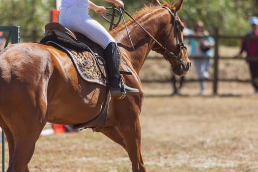 Equestrian sport - a person in uniform riding brown horse at the ranch. Mid shot