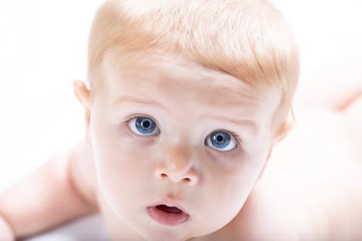 Blond baby boy with big blue eyes staring up into the camera with fascination in a high key close up cropped portrait of the face