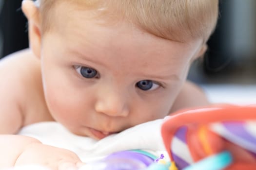 Cute little baby with big blue eyes lying on its stomach on a cot looking at its colorful plastic educational toys