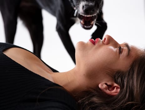Cropped view of the muzzle of a dangerous dog approaching a pretty young woman wearing makeup resting on the floor on her back with eyes closed and a serene expression