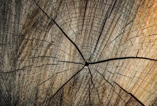 seamless texture background old wood cracks