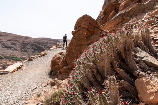 Panoramic view of famous Amtoudi gorge in the Anti-Atlas mountains, Morocco