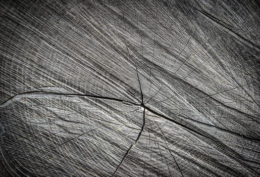 seamless texture background old wood cracks
