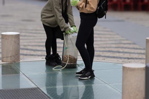Activists collect cigarette bulls dropped on the street. Mid shot