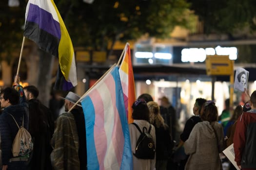 PORTUGAL, LISBON 11-25-2022: the March for the End of Violence Against Women - people holding transgender lesbian and non-binary flags in the crowd. Mid shot