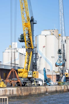 Cargo cranes operate in the seaport. Vertical shot
