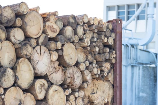 Stacked on top of each other rounded logs. Mid shot