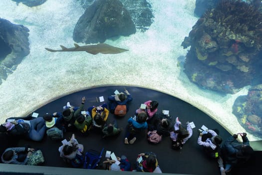 PORTUGAL, LISBON 12 December 2022: children sit in front of aquarium glass in oceanarium - an angelshark swimming close to the glass. Mid shot
